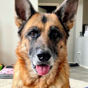 Meet your Posher, Nina